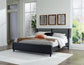 Danziar King Panel Bed with Mirrored Dresser